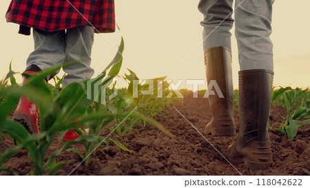 farmer rubber boots walks raising dust field sunset, child farmer working field summer, corn industry, child mother walking along road eco-friendly corn, fresh sprouts green corn farm, children help farmer rubber boots walks raising dust field sunset, child farmer working field summer, corn industry, child mother walking along road eco-friendly corn, fresh sprouts green corn farm, children help 118042622