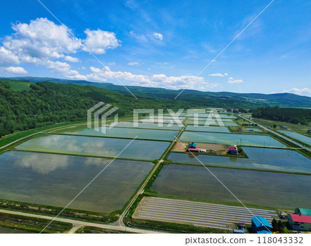 北海道,初夏 北海道,初夏 118043332