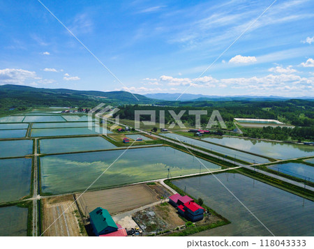 北海道,初夏 北海道,初夏 118043333