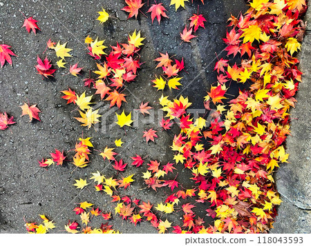 Autumn style Autumn style 118043593