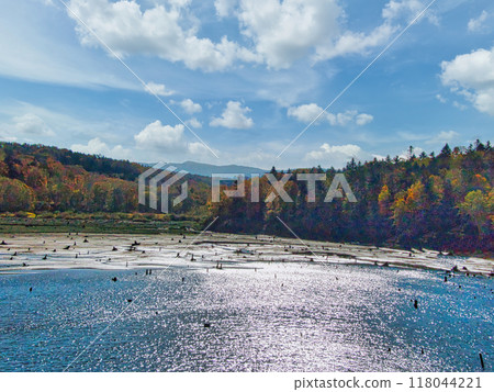 Fall landscape 118044221