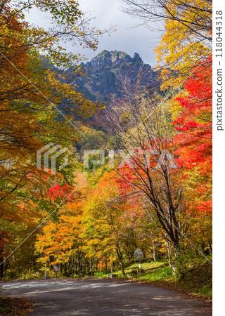 【奧飛驒的紅葉】從鍋平高原看到的紅葉巔峰的四條山 118044318