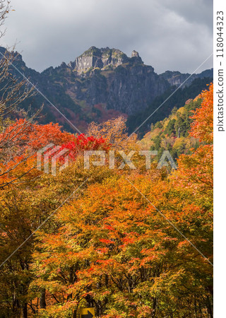 《Autumn leaves in Oku-Hida》 View of Mt. Shakujo from Nabedaira Plateau during the peak of autumn foliage 118044323