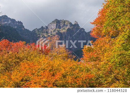 《Autumn leaves in Oku-Hida》 View of Mt. Shakujo from Nabedaira Plateau during the peak of autumn foliage 118044328