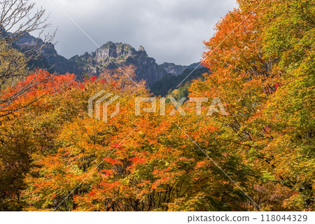 【奧飛驒的紅葉】從鍋平高原看到的紅葉巔峰的四條山 118044329