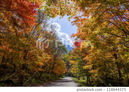 《奧飛驒的紅葉》新穗高溫泉週邊登山路的紅葉 118044373