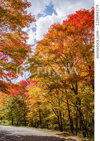 《奧飛驒的紅葉》新穗高溫泉週邊登山路的紅葉 118044374