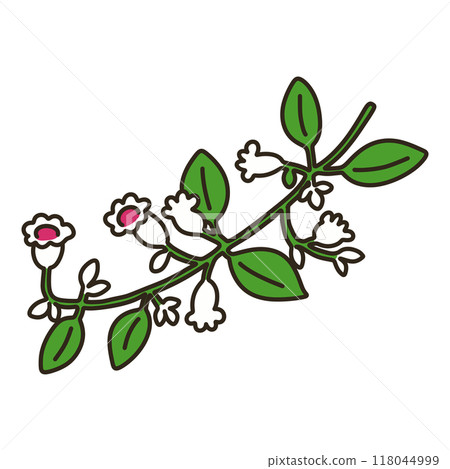 Hexokazura 118044999