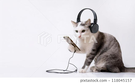 一隻貓像人一樣坐著,戴著耳機,操作智慧型手機 一隻貓像人一樣坐著,戴著耳機,操作智慧型手機 118045157