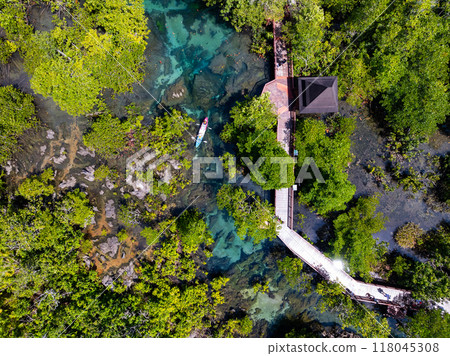 Top view Mangrove forest and river landscape at Thapom Klong Song Nam, Krabi Thailand, Beautiful root in mangrove forest with crystal clear water in small canal,High angle view 118045308