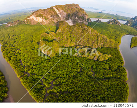 Amazing abundant mangrove forest, Aerial view of forest trees Rainforest ecosystem and healthy environment background, Texture of green trees forest top down, High angle view 118045571