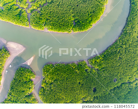 Amazing abundant mangrove forest, Aerial view of forest trees Rainforest ecosystem and healthy environment background, Texture of green trees forest top down, High angle view 118045572