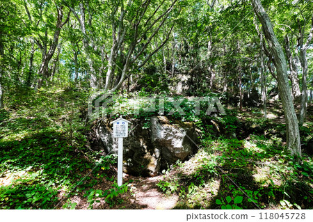 Fresh green Kagamiishi 118045728