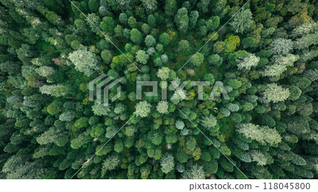 Aerial footage of beautiful high altitude forest mountain landscape Aerial footage of beautiful high altitude forest mountain landscape 118045800