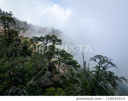 Aerial view of beautiful high altitude forest mountain landscape Aerial view of beautiful high altitude forest mountain landscape 118045814