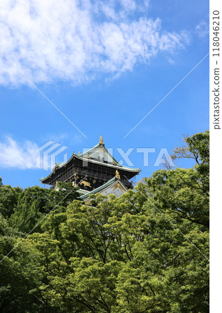大阪市大阪中央區 大阪城天守閣 118046210