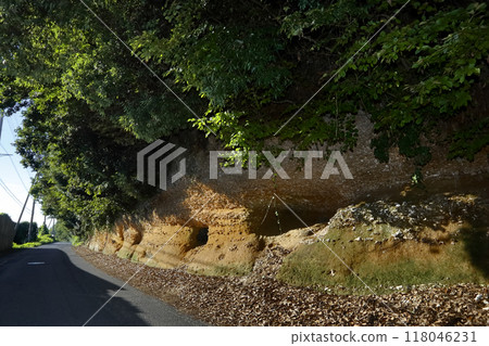 浪漫的茨城縣（霞浦週邊的牡蠣化石層。約12萬年前，海岸線到達筑波山山麓。）霞浦市 118046231