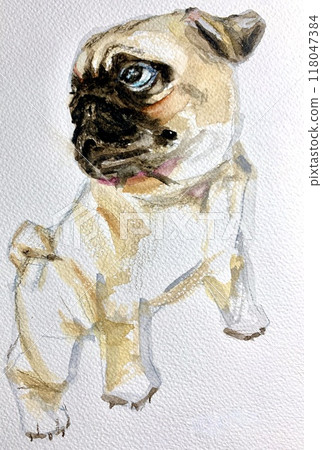 Cute dog turning around 118047384