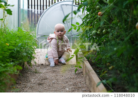 happy child girl holding tomatoes on background of green plants happy child girl holding tomatoes on background of green plants 118048010