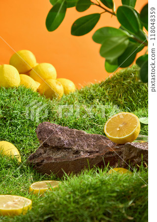 Fresh lemons and lemon slices decorated on green grass with brown block of stone and branches leaves. Blank space for presentation product commercial featuring a lemon component Fresh lemons and lemon slices decorated on green grass with brown block of stone and branches leaves. Blank space for presentation product commercial featuring a lemon component 118048359
