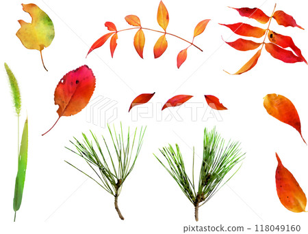 Autumn leaves illustration set 2 118049160