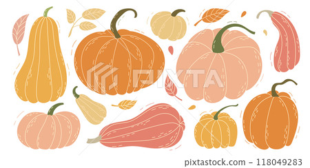 Autumn Harvest An Enchanting and Colorful Collection of Pumpkins and Gourds for Fall 118049283