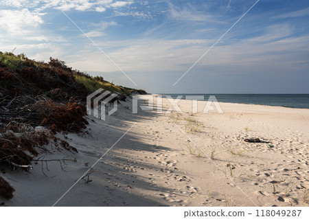 Long white sand beach in the Curonian Spit National Park. Kaliningrad region. Russia 118049287
