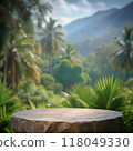 Rock podium forest background mockup. Round blank stone pedestal stand platform on green natural tropical garden and mountain for cosmetic display or food product design 118049330