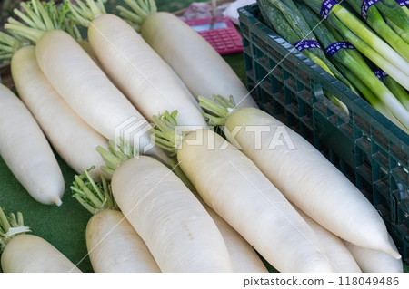 Winter vegetable section (radishes) 118049486