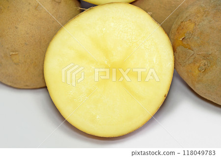 Potato (Toya) Potato (Toya) 118049783