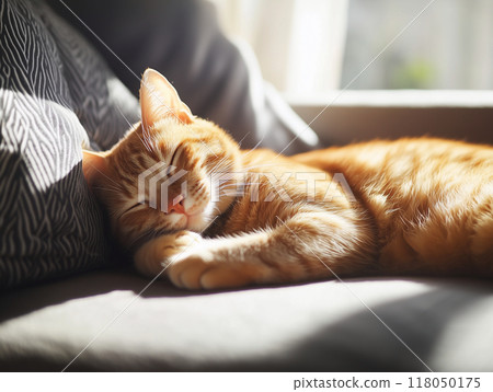 Cute orange lazy cat relaxing on sofa with sunlight. Cute orange lazy cat relaxing on sofa with sunlight. 118050175