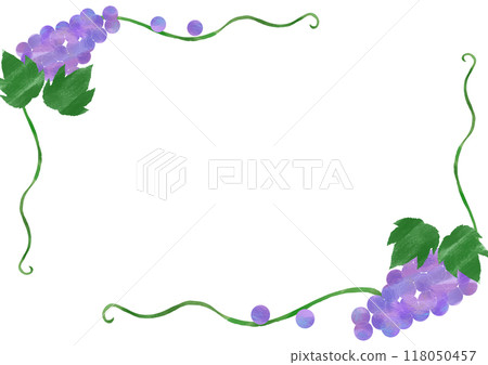 Simple frame of grapes and vines 118050457