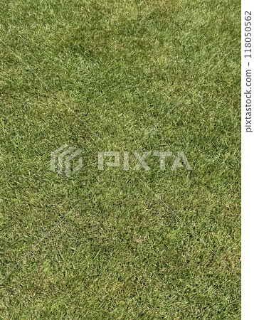 澆水草坪（切割高度20mm） 118050562