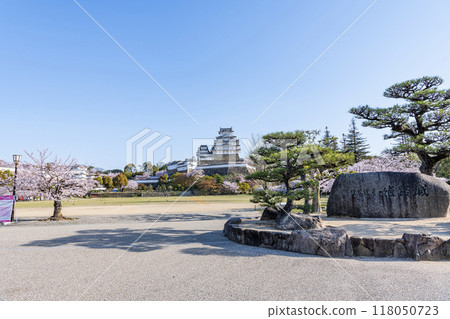 兵庫縣姬路市，國寶姬路城天守閣，晴朗的日子裡，美麗的櫻花盛開，刻有城堡名稱的石匾 118050723