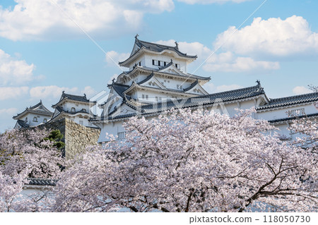 兵庫縣姬路市,國寶姬路城 櫻花盛開的春天的天守閣(近景) 兵庫縣姬路市,國寶姬路城 櫻花盛開的春天的天守閣(近景) 118050730