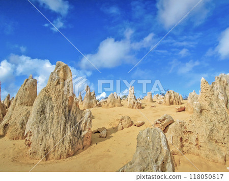 The Pinnacles, a strange rock formation in the desert! A popular tourist spot in Western Australia 118050817