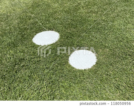 Lawn and rainwater/sewage tanks 118050956