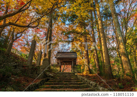 Bokoji Bokoji 118051110