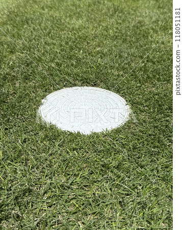 Grass and sewage tank 118051181