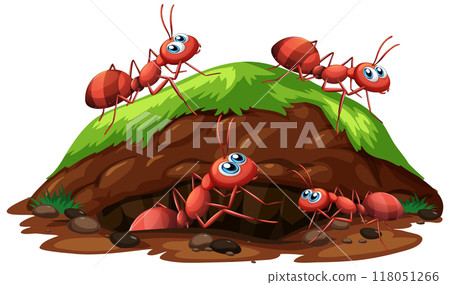Ants Working Together Near Anthill Ants Working Together Near Anthill 118051266