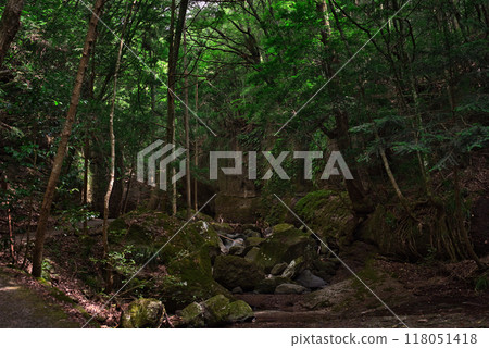 從滑川溪谷的散步道眺望 118051418