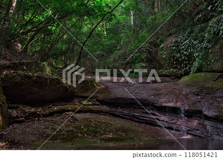 從滑川溪谷的散步道眺望 118051421