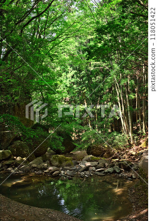 從滑川溪谷的散步道眺望 118051422