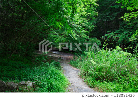 View from the footpath of Namekawa Valley 118051426