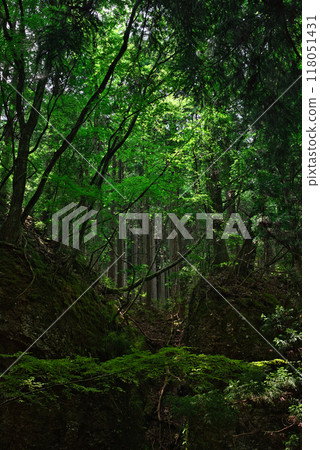 從滑川溪谷的散步道眺望 118051431