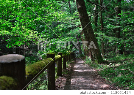 View from the footpath of Namekawa Valley View from the footpath of Namekawa Valley 118051434