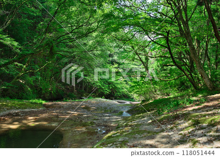 View from the footpath of Namekawa Valley 118051444