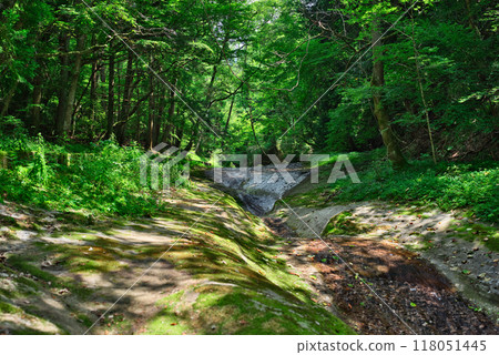 View from the footpath of Namekawa Valley View from the footpath of Namekawa Valley 118051445