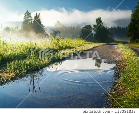 Puddle 118051832