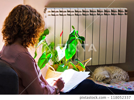 woman, reading, book 118052337